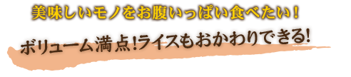 ボリューム満点！ライスもおかわりできる！